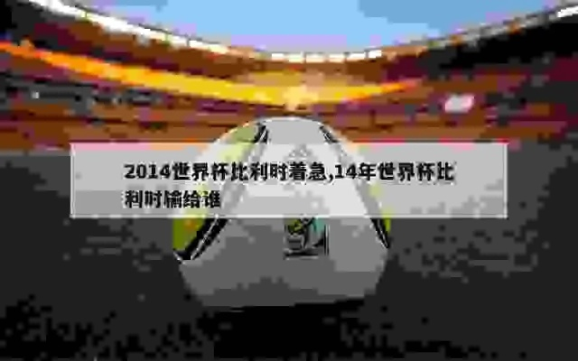 2014比利时世界杯战绩 回顾比利时在2014世界杯上的表现