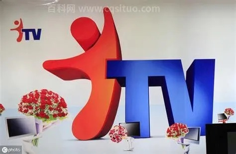 vstv（VSTV）是什么？-第3张图片-www.211178.com_果博福布斯