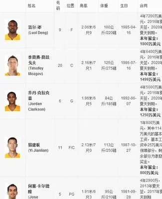 2013年NBA球员工资排行榜揭晓，你猜谁是第一？-第3张图片-www.211178.com_果博福布斯